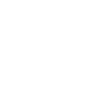 Lexus Lexus